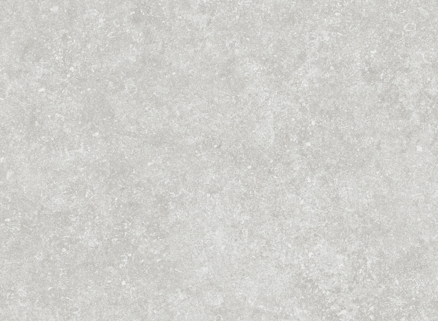 Bluestone Coin Porcelain | Porcelain Tile for Outdoor Patio